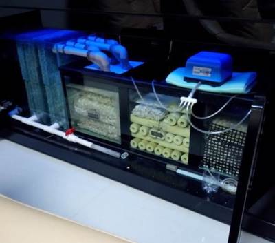 過濾器材的擺放順序也是有考究的哦,放錯對魚可是有極大的影響!