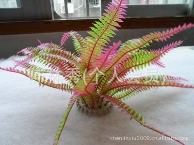 【【批發(fā)供應】魚缸工藝品 塑料水草 觀賞水族水草 水草 假魚草】價格,廠家,圖片,其他水族器材,福州市臺江區(qū)心安花藝店-