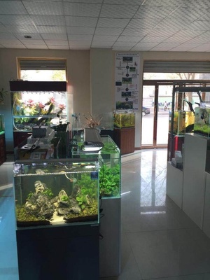 水族館加盟案例:河津皇家水族生活館案例分享