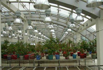 江南電子儀器廠