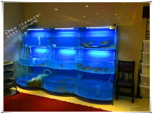報(bào)價(jià) 供應(yīng)商 圖片 崇安區(qū)鴻顏水族器材經(jīng)營部