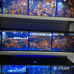 電話,地址,價(jià)格,營業(yè)時(shí)間 羅山縣寵物