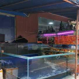 圖 大型魚缸專業(yè)定制請認(rèn)準(zhǔn)濠麗水族 重慶寵物食品 用品