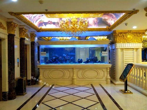 報(bào)價(jià) 供應(yīng)商 圖片 崇安區(qū)鴻顏水族器材經(jīng)營(yíng)部