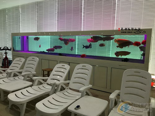 報(bào)價(jià) 供應(yīng)商 圖片 崇安區(qū)鴻顏水族器材經(jīng)營(yíng)部