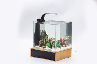 ds24 30f開放式小型生態(tài)魚缸