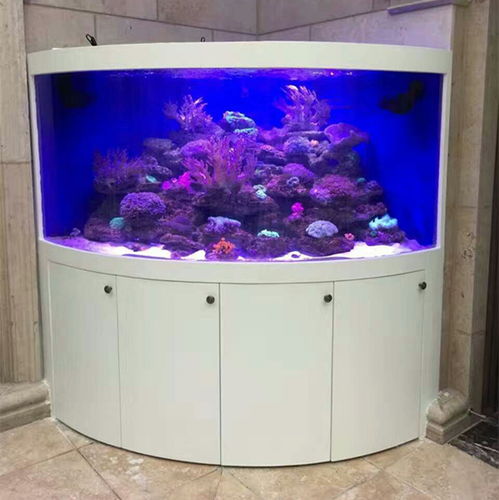 諸暨觀賞魚缸報(bào)價(jià)