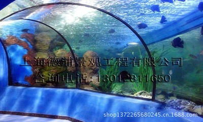 【海洋隧道景觀工程 水族館隧道水景工程 大型亞克力隧道規(guī)劃 制作】?jī)r(jià)格,廠家,圖片,其他水族器材,上海德浦景觀工程-