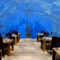 無(wú)錫魚缸定做,無(wú)錫魚缸,水族箱江蘇 無(wú)錫 崇安區(qū)崇安區(qū)鴻顏水族器材經(jīng)營(yíng)部產(chǎn)品供應(yīng)第7頁(yè)