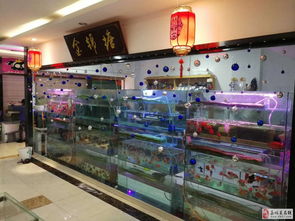 水族館轉(zhuǎn)讓或出售魚缸及設(shè)備