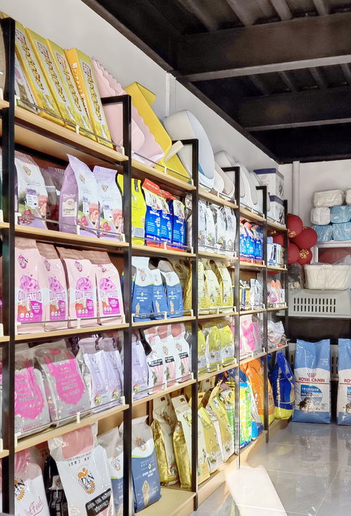 天津網(wǎng)紅打卡新地標(biāo) 中北鎮(zhèn)曹莊花卉市場(chǎng)26日開始正式營(yíng)業(yè)