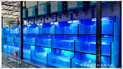 報(bào)價(jià) 供應(yīng)商 圖片 崇安區(qū)鴻顏水族器材經(jīng)營(yíng)部