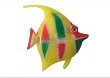 上海熱帶魚_水族器材_上海熱帶魚批發_上海熱帶魚供應_阿里巴巴