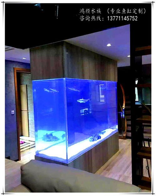 報(bào)價(jià) 供應(yīng)商 圖片 崇安區(qū)鴻顏水族器材經(jīng)營(yíng)部