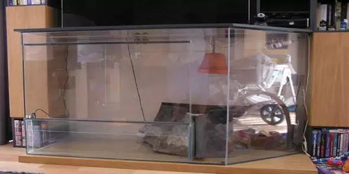 歪果仁電視機柜里的創意水草造景缸