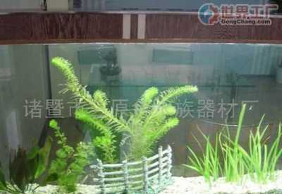 杭州思遠(yuǎn)壁掛水族_世界工廠網(wǎng)全球企業(yè)庫(kù)