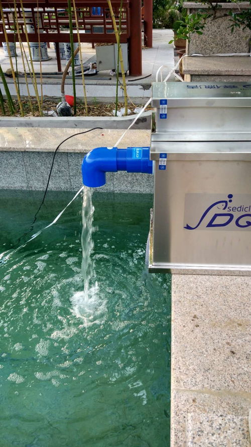 養(yǎng)魚居然可以治病,還能安撫老年癡呆 還等什么,都快去養(yǎng)魚