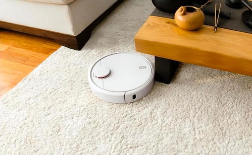 ai掃地機(jī)器人是智商稅嗎