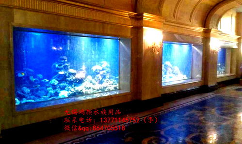 報(bào)價(jià) 供應(yīng)商 圖片 崇安區(qū)鴻顏水族器材經(jīng)營(yíng)部