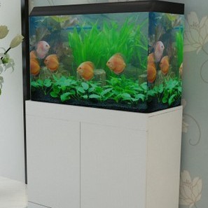 亮點(diǎn)水族水族器材 亮點(diǎn)水族水族箱 萊歐玻璃魚(yú)缸