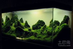 水草缸品牌與器材全解析