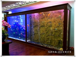 崇安區(qū)鴻顏水族器材經(jīng)營部：專業(yè)水族器材供應(yīng)商報價及圖片展示