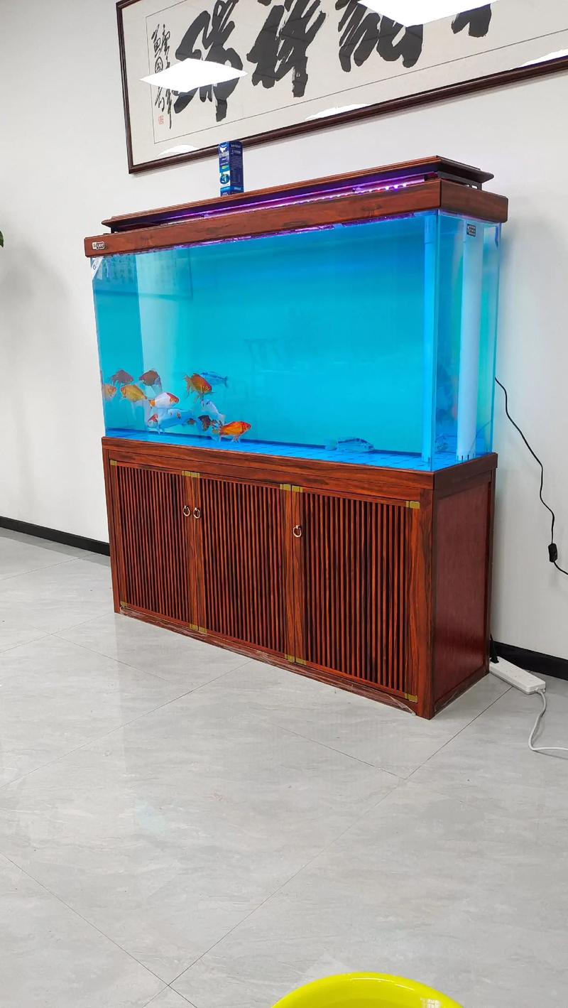 1.5米下濾系統(tǒng)魚(yú)缸 新缸安裝后的完美展現(xiàn)與養(yǎng)魚(yú)心得