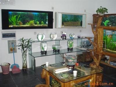 樂(lè)彩生態(tài)家居館 生態(tài)水族壁畫(huà)與低碳家具的創(chuàng)新融合