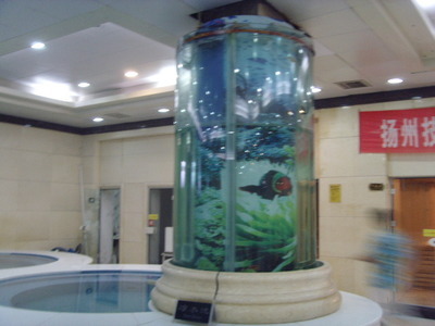 春節(jié)魚(yú)缸清洗指南 用對(duì)水族器材，讓愛(ài)寵舒適過(guò)年