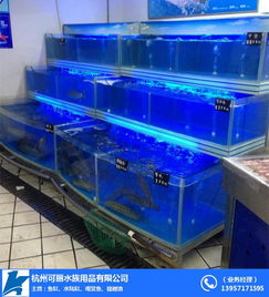 酒店海鮮池定做報(bào)價(jià)與水族器材選購(gòu)指南