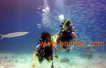 廈門(mén)潛水培訓(xùn)與海滄潛水培訓(xùn)公司 優(yōu)質(zhì)水族器材的選擇