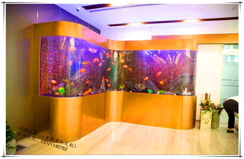 崇安區(qū)鴻顏水族器材經(jīng)營(yíng)部水族器材報(bào)價(jià)與供應(yīng)商服務(wù)