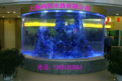 上海鳴陽水族用品 專業(yè)訂制魚缸與水族器材全解析