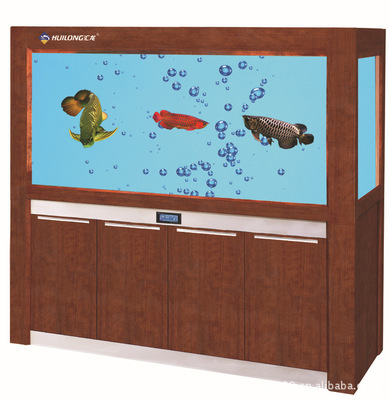 上海匯龍水族科技 生態(tài)水族箱批發(fā)加盟與專業(yè)水族器材供應(yīng)商